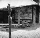 The Baldessin Press - Accommodation Coffs Harbour