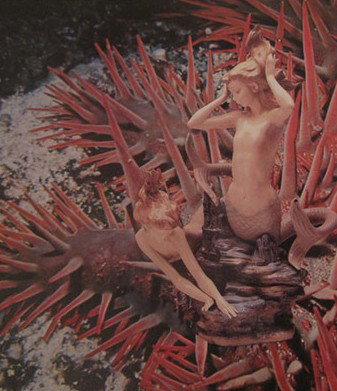 Bower Gallery - Accommodation Coffs Harbour 1