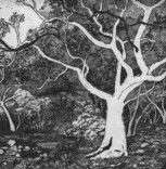 Tacit Contemporary Art - Accommodation Coffs Harbour 0