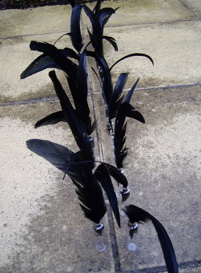 Town Hall Gallery - Accommodation Coffs Harbour 2