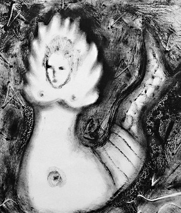 Gallery Stimuleye - Accommodation Coffs Harbour 0