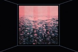 Paradise Hills - Accommodation Coffs Harbour 1