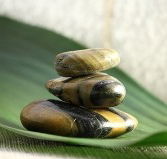 The Nature of Balance - Accommodation Coffs Harbour