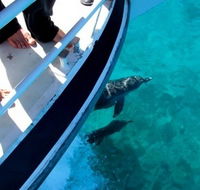 Pelican Charters - Accommodation Coffs Harbour