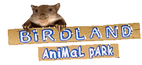 Birdland Animal Park - Accommodation Coffs Harbour 0