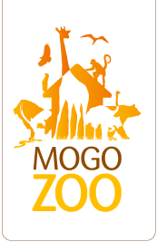 Mogo NSW Accommodation Coffs Harbour