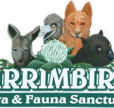 Wirrimbirra Sanctuary - Accommodation Coffs Harbour