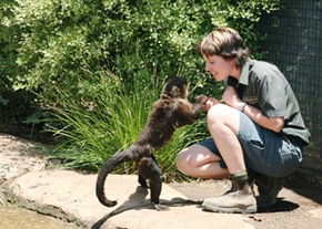 National Zoo & Aquarium - Accommodation Coffs Harbour 1
