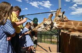 National Zoo & Aquarium - Accommodation Coffs Harbour 2