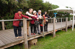 Phillip Island Penguin Parade - Accommodation Coffs Harbour 1