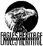 Eagles Heritage - Accommodation Coffs Harbour