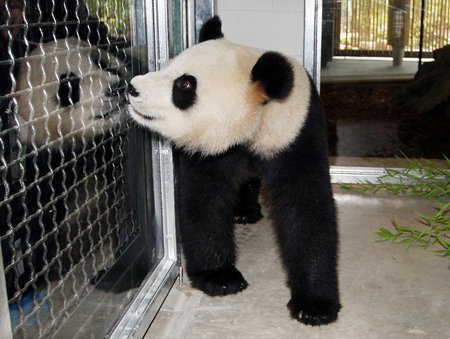 Adelaide Zoo - Accommodation Coffs Harbour 3