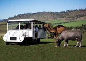 Zoo Doo Wildlife Park - Accommodation Coffs Harbour 2