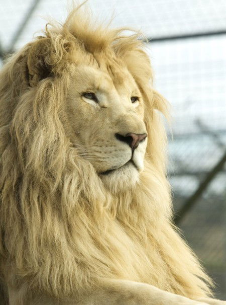 Zoo Doo Wildlife Park - Accommodation Coffs Harbour 3