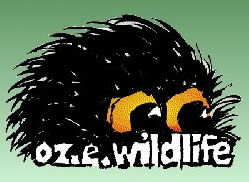 OZe Wildlife - Accommodation Coffs Harbour 0