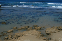 Canberra Contemporary Art Space - Accommodation Coffs Harbour 0