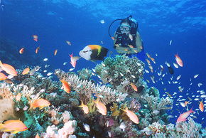  Accommodation Coffs Harbour
