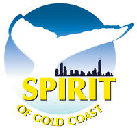 Spirit of Gold Coast Whale Watching - Accommodation Coffs Harbour
