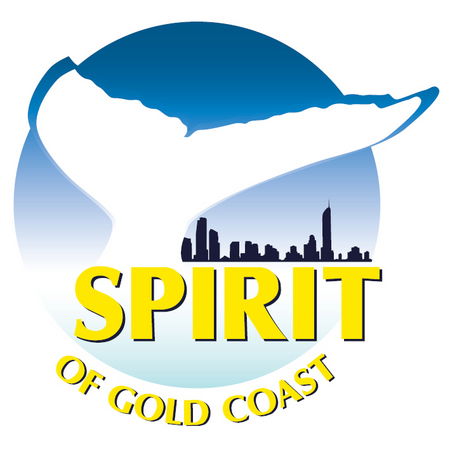 Spirit Of Gold Coast Whale Watching - Accommodation Coffs Harbour 0