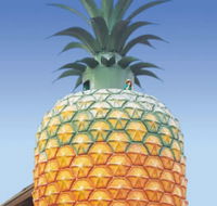 The Big Pineapple - Accommodation Coffs Harbour