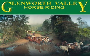 Glenworth Valley Horseriding - Accommodation Coffs Harbour 0