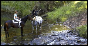 Glenworth Valley Horseriding - Accommodation Coffs Harbour 1
