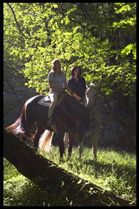 Glenworth Valley Horseriding - Accommodation Coffs Harbour 2