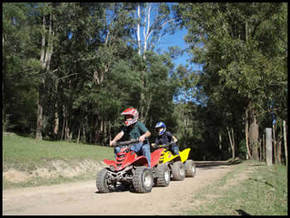 Glenworth Valley Horseriding - Accommodation Coffs Harbour 3
