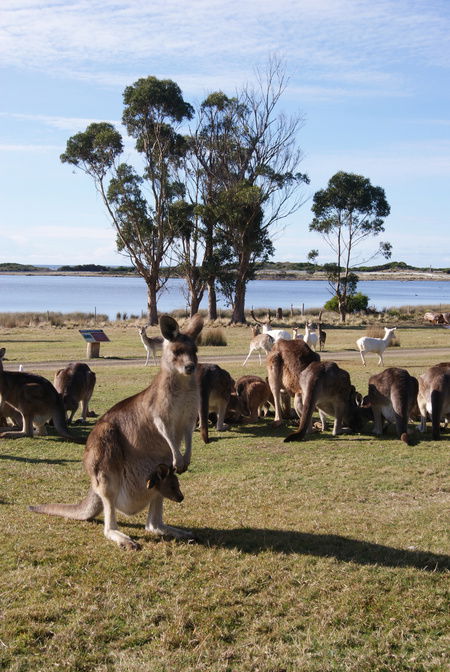 East Coast Natureworld - Accommodation Coffs Harbour 1