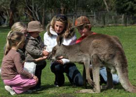 Gumbuya Park - Accommodation Coffs Harbour 1
