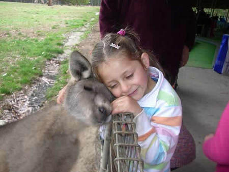 Gumbuya Park - Accommodation Coffs Harbour 3