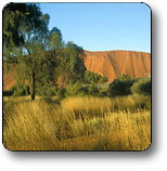 Uluru - Kata Tjuta National Park - Accommodation Coffs Harbour 0