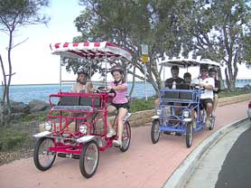 Beach Safaris - Accommodation Coffs Harbour 0