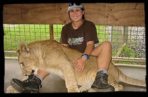 Cairns Wildlife Safari Reserve - Accommodation Coffs Harbour 1