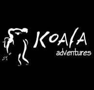Koala Adventures - Accommodation Coffs Harbour
