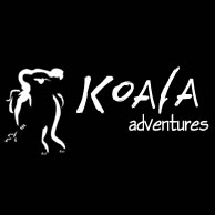Koala Adventures - Accommodation Coffs Harbour 0