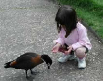 Urimbirra Wildlife Park - Accommodation Coffs Harbour 3