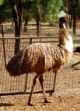 Waterways Wildlife Park - Accommodation Coffs Harbour 2