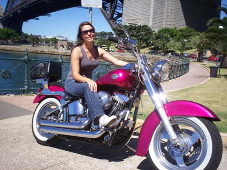 A Wild Ride - Accommodation Coffs Harbour 2