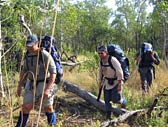 Adventure Out - Accommodation Coffs Harbour 3