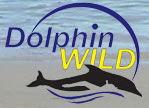 Dolphin Wild - Accommodation Coffs Harbour 0