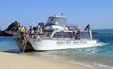 Dolphin Wild - Accommodation Coffs Harbour 2