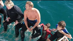 Dolphcom - Dolphin & Whale Swimming Adventures - Accommodation Coffs Harbour 2
