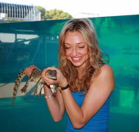 Crocosaurus Cove - Accommodation Coffs Harbour
