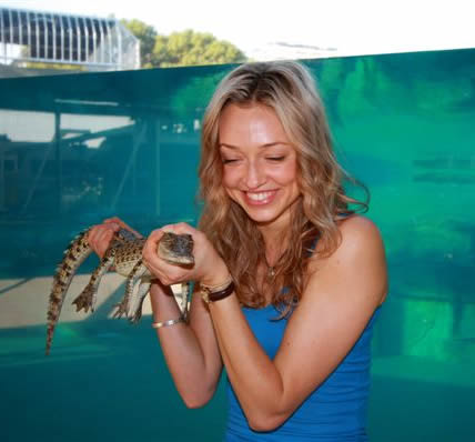 Crocosaurus Cove - Accommodation Coffs Harbour 0