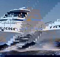 Sunshine Coast Fishing Charters - Accommodation Coffs Harbour