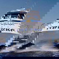 Sunshine Coast Fishing Charters - Accommodation Coffs Harbour 0