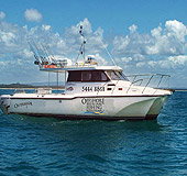 Sunshine Coast Fishing Charters - Accommodation Coffs Harbour 1