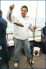 Able Fishing Charters - Accommodation Coffs Harbour 2