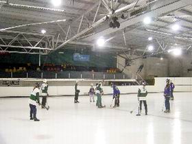 The Ice Arena - Accommodation Coffs Harbour 2